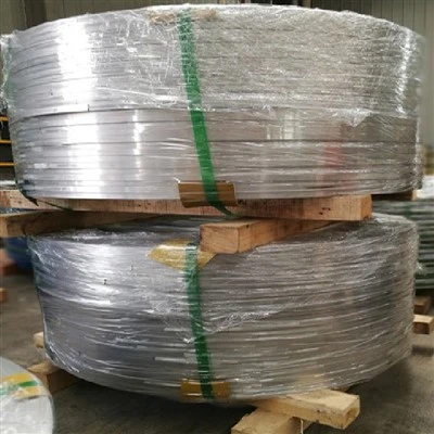Cewka stalowa Astm A36
